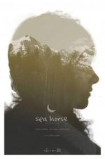 Watch Sea Horse Xmovies8