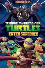 Watch Teenage Mutant Ninja Turtles: Enter Shredder Xmovies8