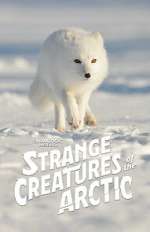 Watch Strange Creatures of the Arctic (TV Special 2022) Xmovies8