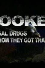 Watch Hooked: Illegal Drugs & How They Got That Way - LSD - Ecstacy and the Raves Xmovies8