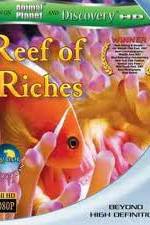 Watch Equator Reefs of Riches Xmovies8