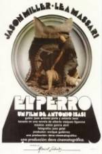 Watch El perro Xmovies8