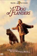 Watch A Dog of Flanders Xmovies8