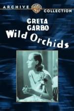 Watch Wild Orchids Xmovies8