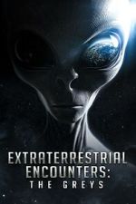 Watch Extraterrestrial Encounters: The Greys Xmovies8