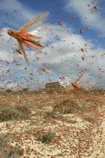 Watch Swarm Chasers: Locusts Xmovies8