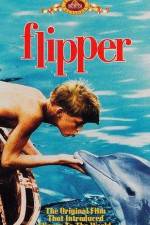 Watch Flipper Xmovies8