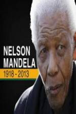 Watch Nelson Mandela: The Final Chapter Xmovies8
