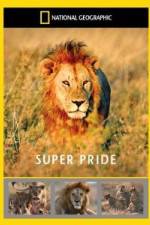 Watch National Geographic: Super Pride  Africa's Largest Lion Pride Xmovies8