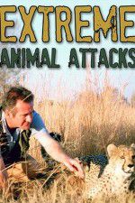 Watch Extreme Animal Attacks Xmovies8