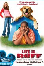 Watch Life Is Ruff Xmovies8