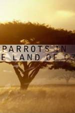 Watch Nature Parrots in the Land of Oz Xmovies8