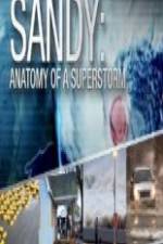 Watch Sandy Anatomy Of A Superstorm Xmovies8