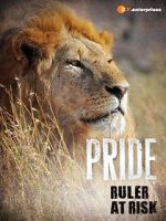 Watch Pride - Ruler\'s at Risk Xmovies8