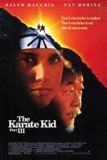 Watch The Karate Kid, Part III Xmovies8