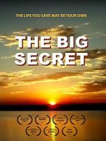 Watch The Big Secret Xmovies8