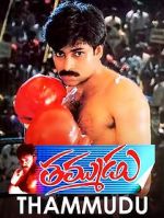 Watch Thammudu Xmovies8