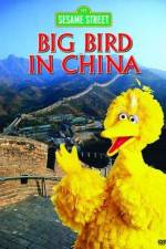 Watch Big Bird in China Xmovies8