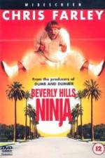 Watch Beverly Hills Ninja Xmovies8