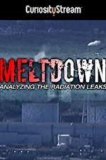 Watch Meltdown: Analyzing the Radiation Leaks Xmovies8
