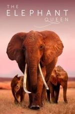 Watch The Elephant Queen Xmovies8
