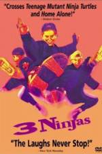 Watch 3 Ninjas Xmovies8