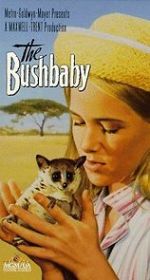 Watch The Bushbaby Xmovies8