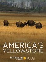 Watch America\'s Yellowstone Xmovies8