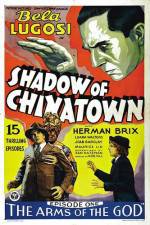 Watch Shadow of Chinatown Xmovies8