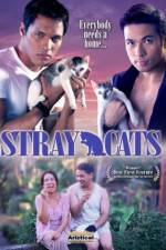 Watch Stray Cats Xmovies8