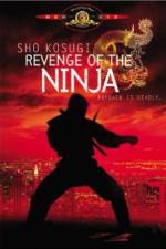 Watch Revenge of the Ninja Xmovies8