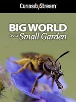 Watch Big World in a Small Garden (TV Short 2016) Xmovies8