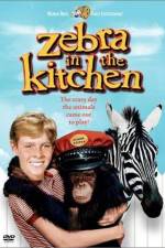 Watch Zebra in the Kitchen Xmovies8