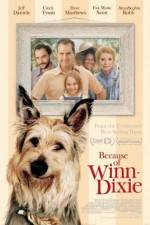 Watch Because of Winn-Dixie Xmovies8