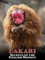 Watch Uakari: Secrets of the English Monkey Xmovies8