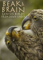 Watch Beak & Brain - Genius Birds from Down Under Xmovies8