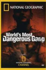 Watch National Geographic World's Most Dangerous Gang Xmovies8