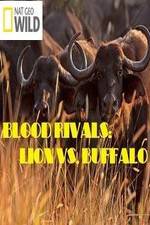 Watch National Geographic - Blood Rivals: Lion vs. Buffalo Xmovies8