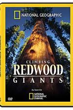 Watch National Geographic Explorer: Climbing Redwood Giants Xmovies8