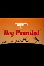 Watch Dog Pounded (Short 1954) Xmovies8