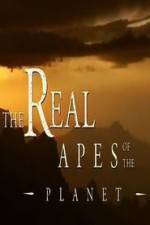 Watch The Real Apes of the Planet Xmovies8