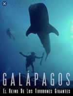 Watch Galapagos: Realm of Giant Sharks Xmovies8
