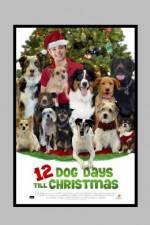 Watch 12 Dog Days of Christmas Xmovies8