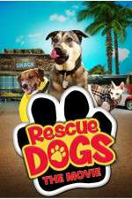 Watch Rescue Dogs Xmovies8