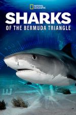 Watch Sharks of the Bermuda Triangle (TV Special 2020) Xmovies8