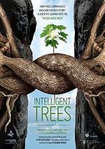 Watch Intelligent Trees Xmovies8