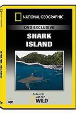 Watch National Geographic: Shark Island Xmovies8