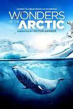 Watch Wonders of the Arctic 3D Xmovies8