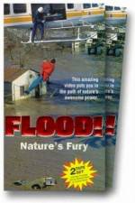 Watch Flood Xmovies8