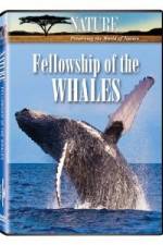 Watch Fellowship Of The Whales Xmovies8